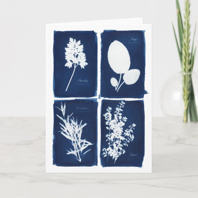 Parsley Sage Rosemary & Thyme Blank Card (Front)