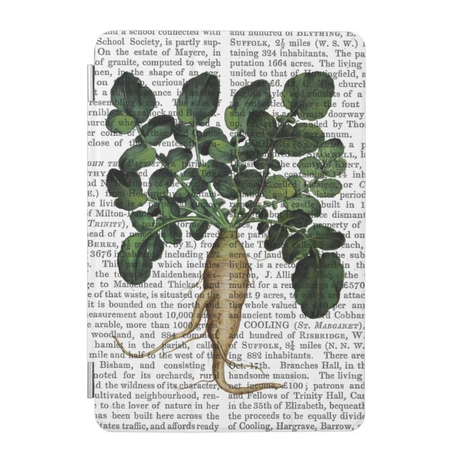 Parsnip 1 iPad mini cover (Front)