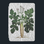 Parsnip 3 iPad mini cover<br><div class="desc">Kitchen & Bath</div>