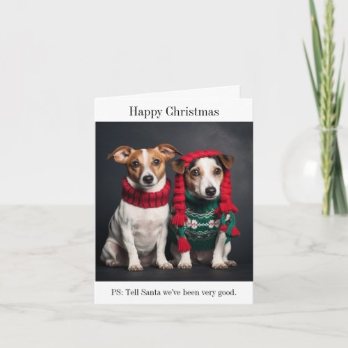 Parson Jack Russell Dogs Happy Christmas Card