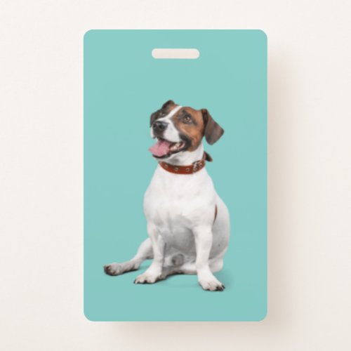 Parson Jack Russell Puppy  Badge