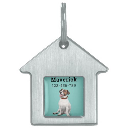 Parson Jack Russell Puppy  Pet ID Tag