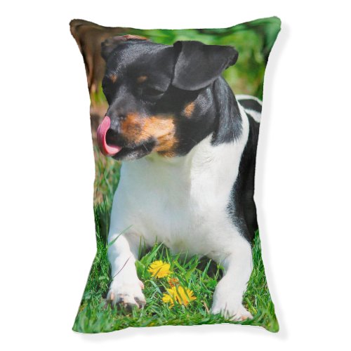 Parson Russell terrier Dog Bed Pet Bed