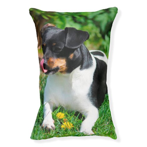 Parson Russell Terrier Pet Bed