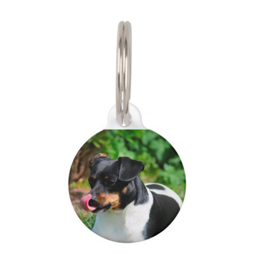 Parson Russell Terrier Pet ID Tag