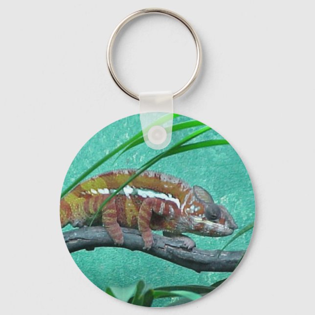 Parson's Chameleon Keychain (Front)