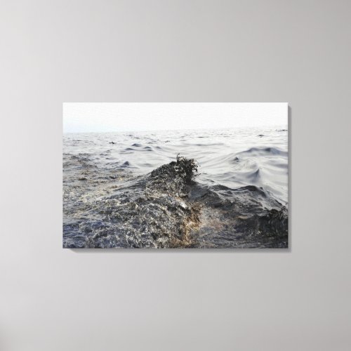 Part of an oil slick in the Gulf of Mexico Canvas Print