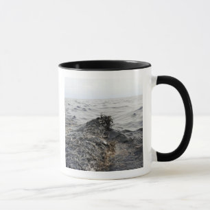 Part of an oil slick in the Gulf of Mexico Mug