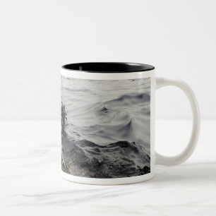 Part of an oil slick in the Gulf of Mexico Two-Tone Coffee Mug