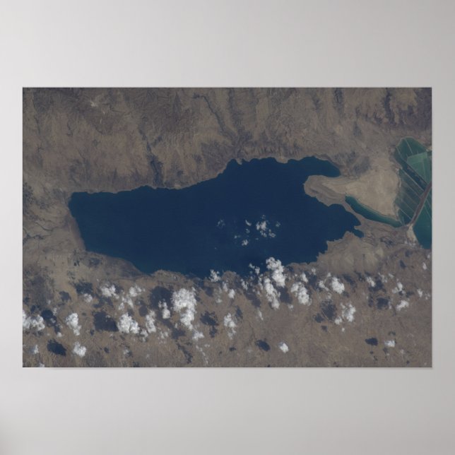Part of the Dead Sea Poster (Front)
