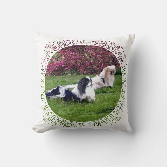 Parti-Color Pekingese Dogs Throw Pillow (Front)