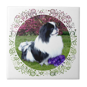 Parti-Color Pekingese Dogs Tile