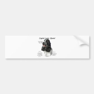 Parti English Cocker Spaniel History Bumper Sticker