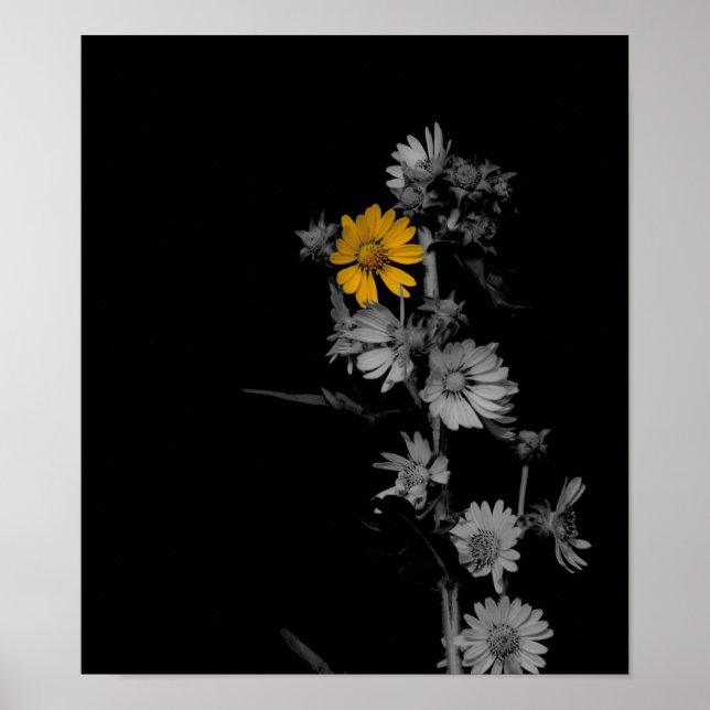 Partially Colorized Black and White Flower Poster (Front)