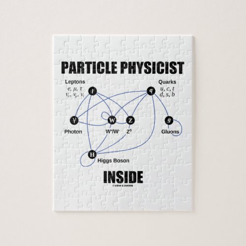 Particle Physicist Inside Standard Model Higgs Jigsaw Puzzle