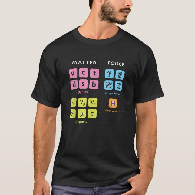 Particle Physics Higgs Standard Model Quantum Mech T-Shirt (Front)