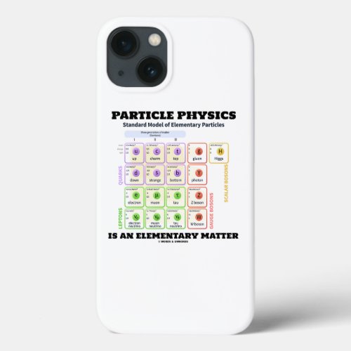 Particle Physics Is An Elementary Matter Model iPhone 13 Case
