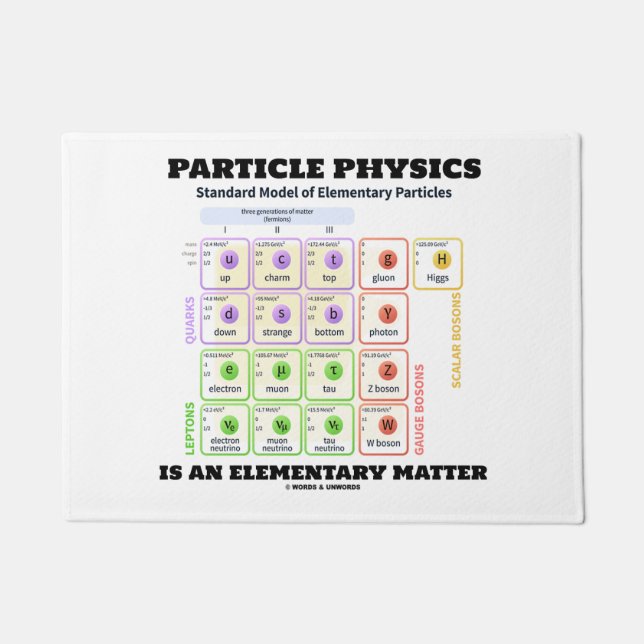 Particle Physics Is An Elementary Matter Model Doormat (Front)