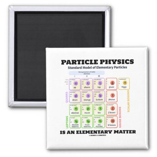 Particle Physics Is An Elementary Matter Model Magnet