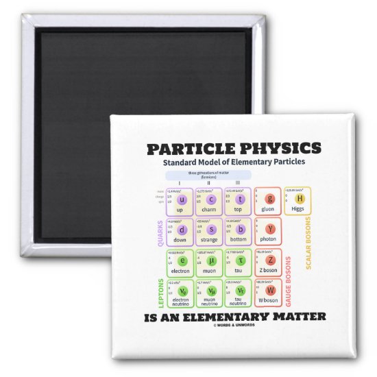 Particle Physics Is An Elementary Matter Model Magnet