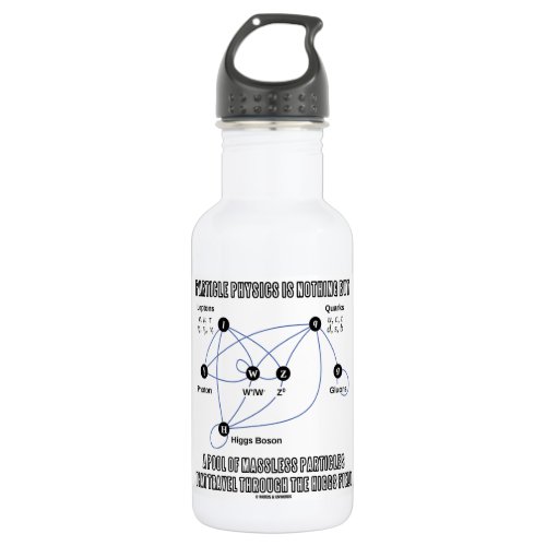 Particle Physics Is Nothing But A Pool Of Massless Stainless Steel Water Bottle