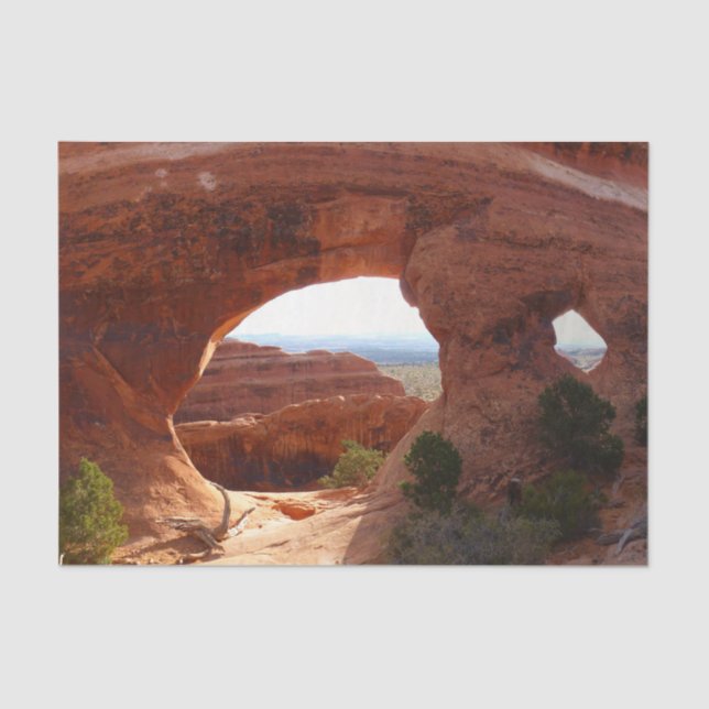 Partition Arch I at Arches National Park Tissue Paper (Front)