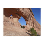 Partition Arch II at Arches National Park Postcard