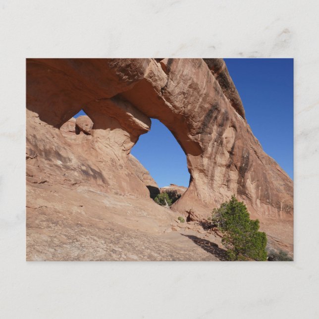 Partition Arch II at Arches National Park Postcard (Front)