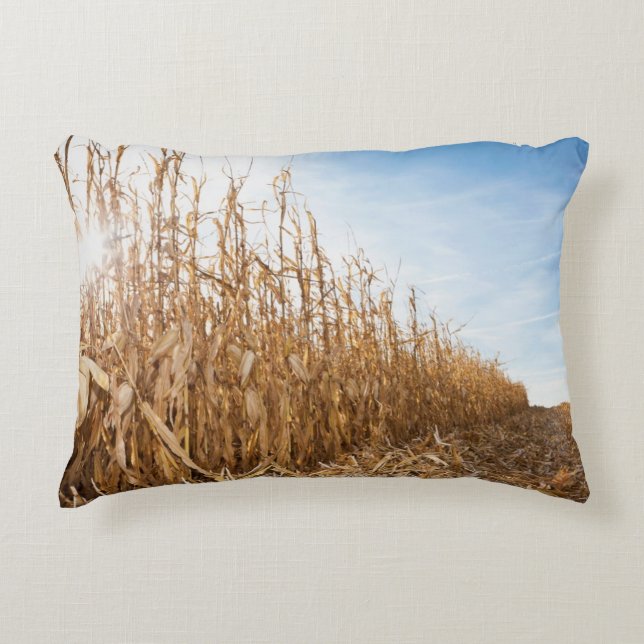 Partly Harvested Corn Field Accent Pillow (Front)