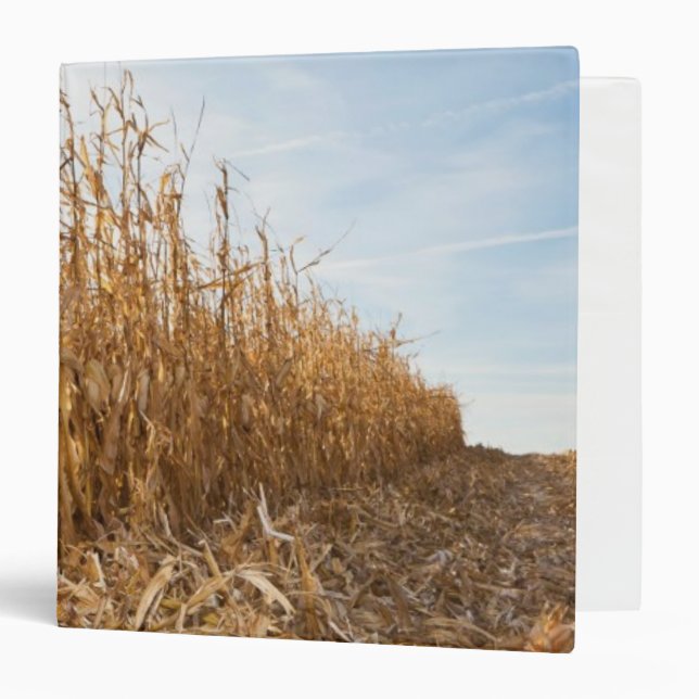 Partly Harvested Corn Field Binder (Front/Inside)