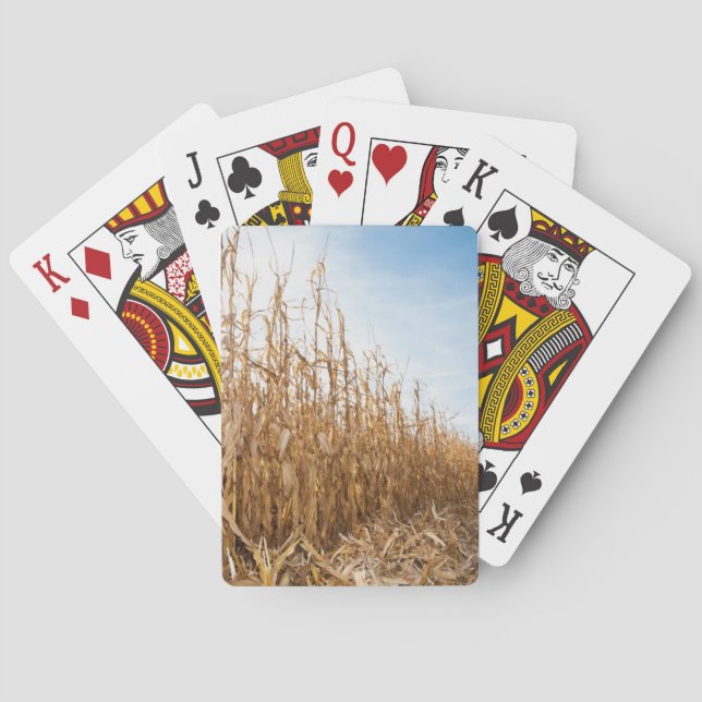 Partly Harvested Corn Field Poker Cards (Back)