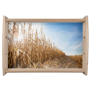 Partly Harvested Corn Field Serving Tray