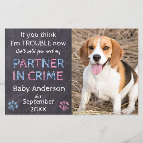 Partner in Crime Dog Pregnancy Announcement