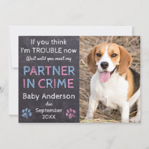 Partner in Crime Family Dog Pregnancy Announcement