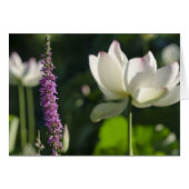 Partners (Front Horizontal)