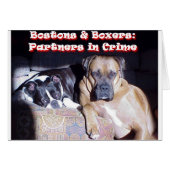 Partners in Crime (Front Horizontal)