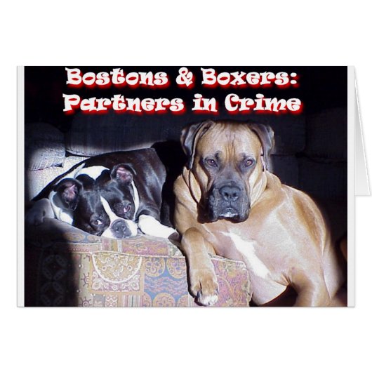 Partners in Crime Cards (Front Horizontal)