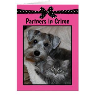 “Partners in Crime” Cards