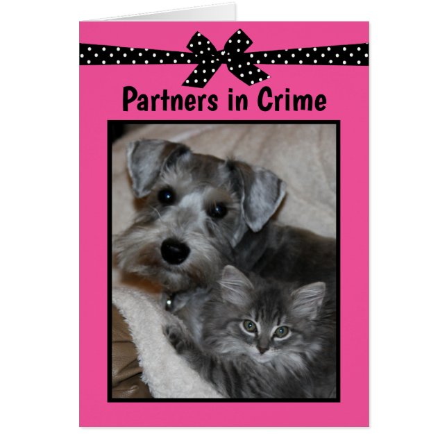 “Partners in Crime” Cards (Front)