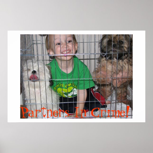 Partners In Crime! Poster (Front)