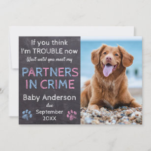 Partners in Crime Twin Baby Family Dog Pregnancy Announcement