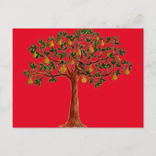 Partridge 2 in a Pear Tree Postcards