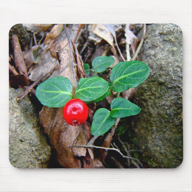 Partridge Berry Wildflower Mouse Pad (Front)