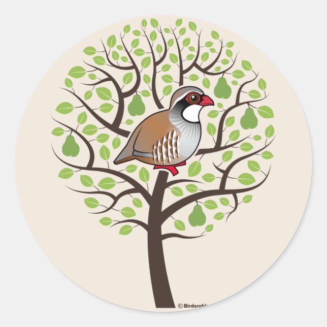 Partridge in a Pear Tree Classic Round Sticker (Front)