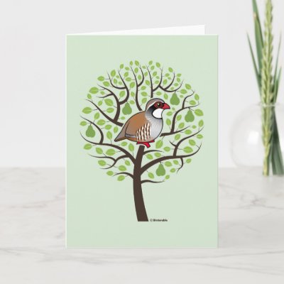 Partridge in a Pear Tree Holiday Card