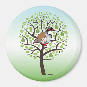 Partridge in a Pear Tree Magnet