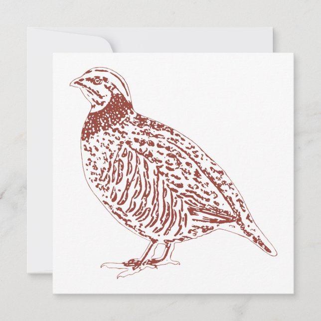 Partridge Notecards (Front)
