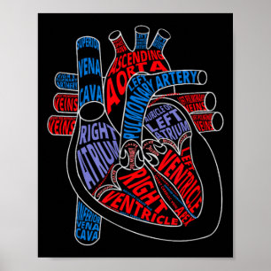 Parts Of Heart Anatomical Heart Gift For Cardiolog Poster