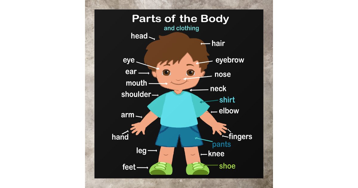 Parts of the Body Floor Decals | Zazzle