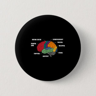 Parts of the brain anatomy colorful diagram button